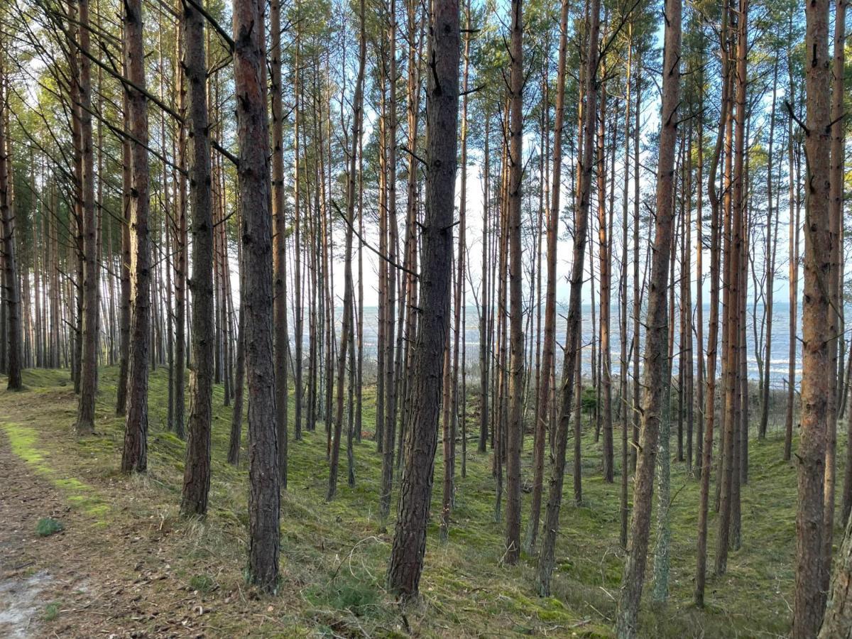Wygodny Eko Domek Kolo Nadmorskiego Parku Krajobrazowego Karwienskie Bloto Drugie Esterno foto